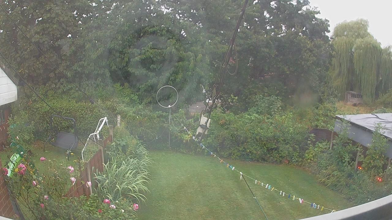 20260818_055356_cam1.jpg