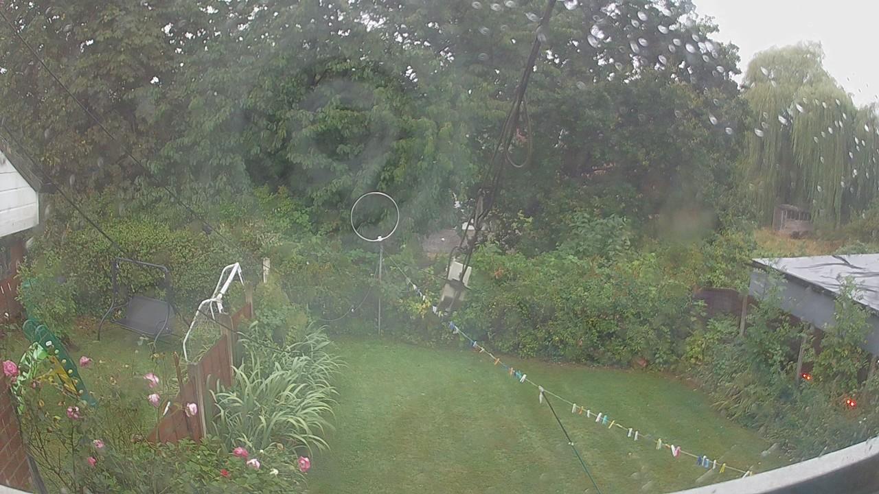 20260818_061001_cam1.jpg