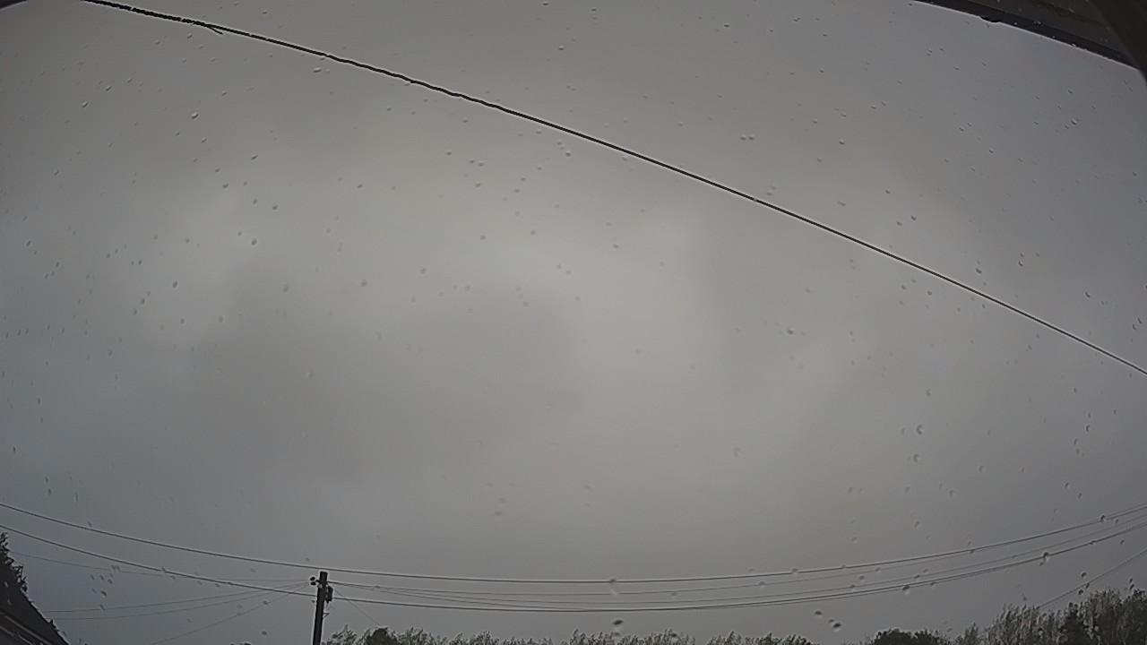20260818_061002_cam2.jpg
