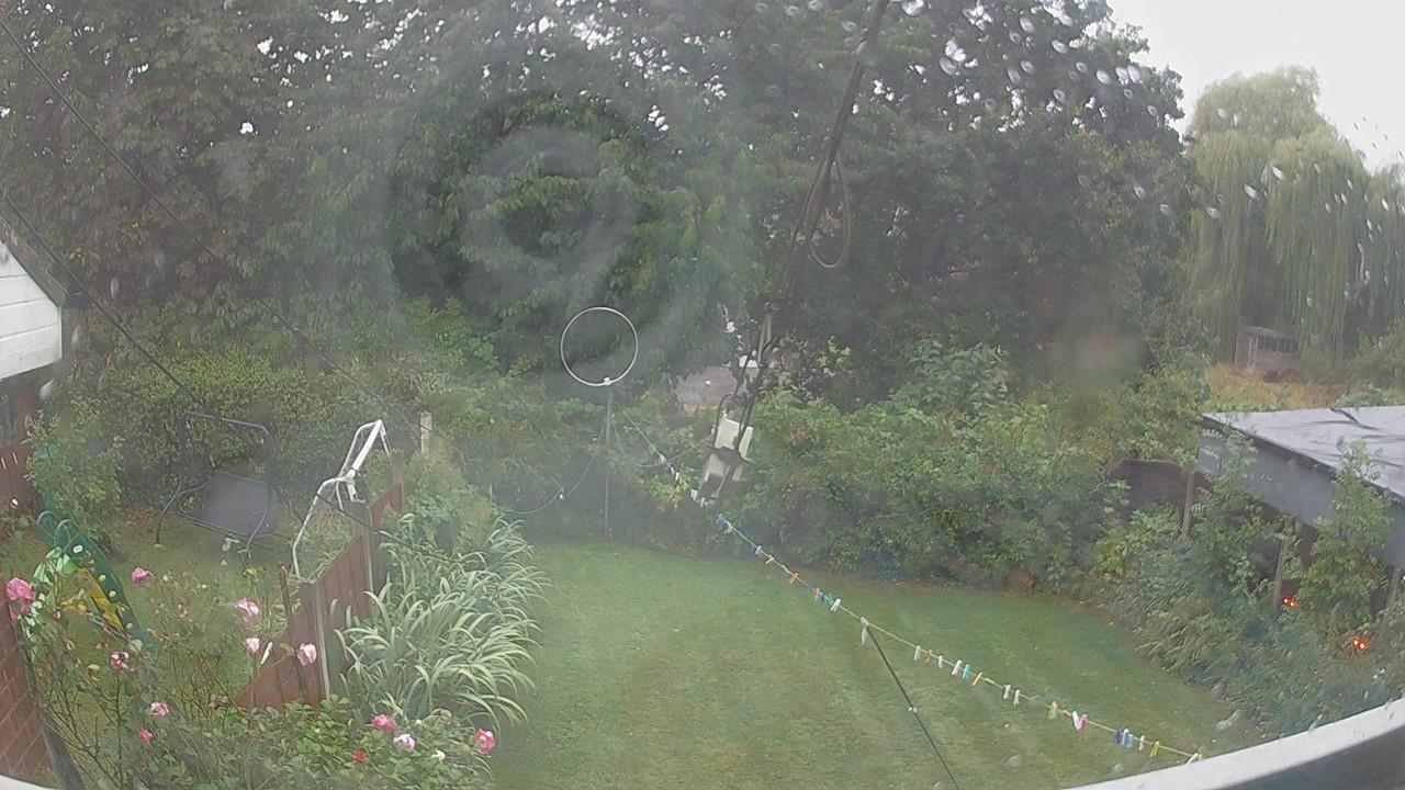 20260818_061307_cam1.jpg
