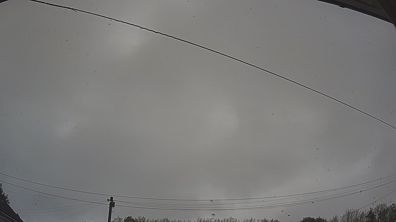 20260818_061308_cam2.jpg