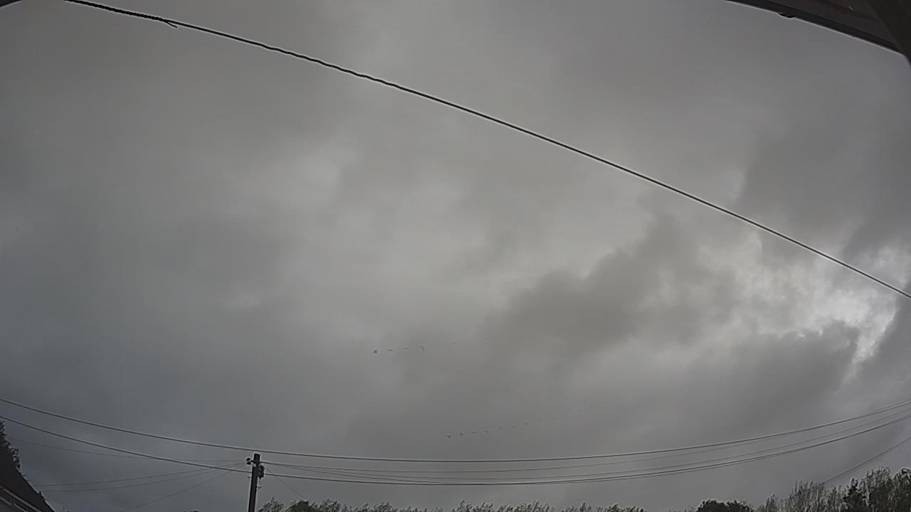 20260818_071742_cam2.jpg