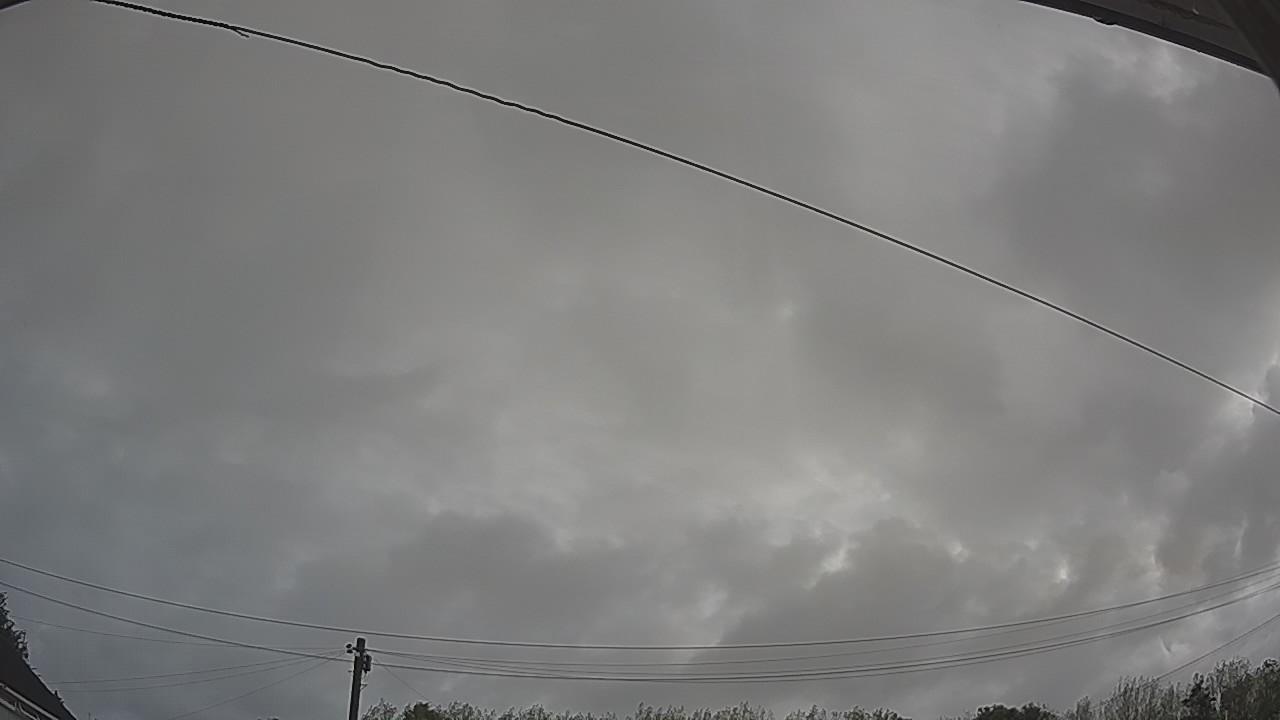 20260818_072525_cam2.jpg