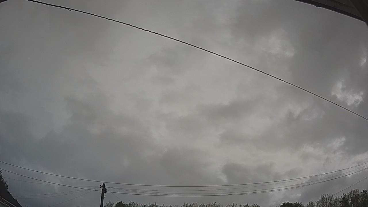 20260818_072907_cam2.jpg
