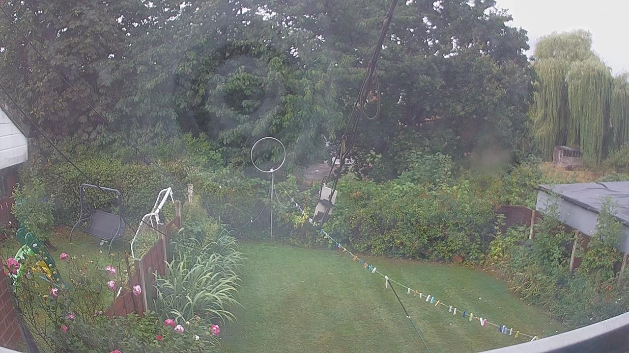 20260818_074737_cam1.jpg