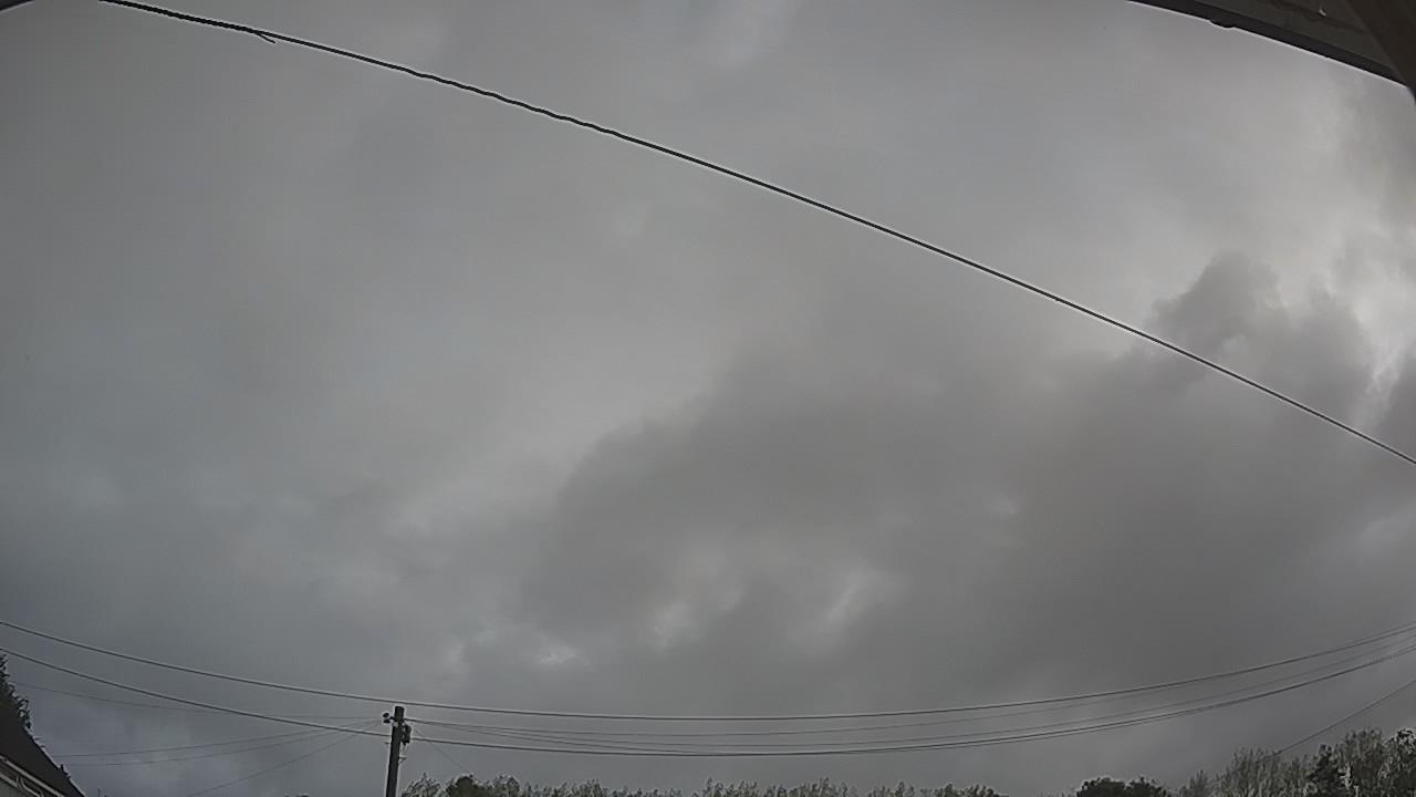 20260818_074738_cam2.jpg