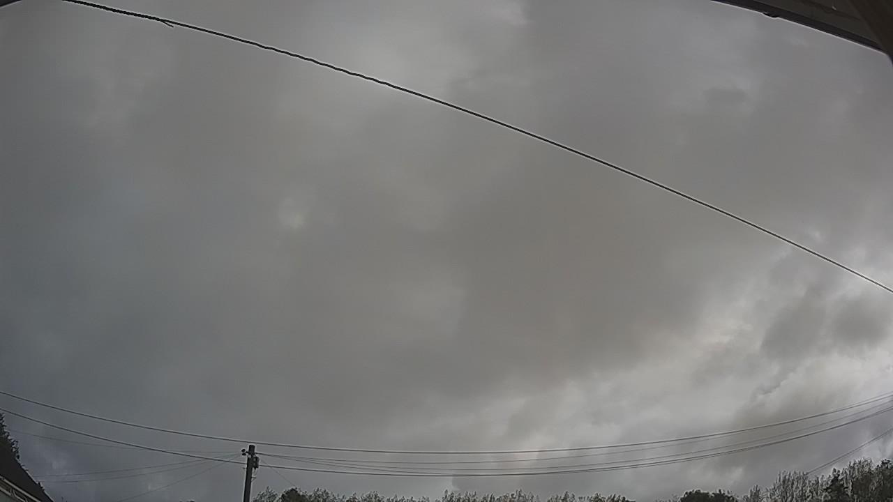 20260818_075120_cam2.jpg