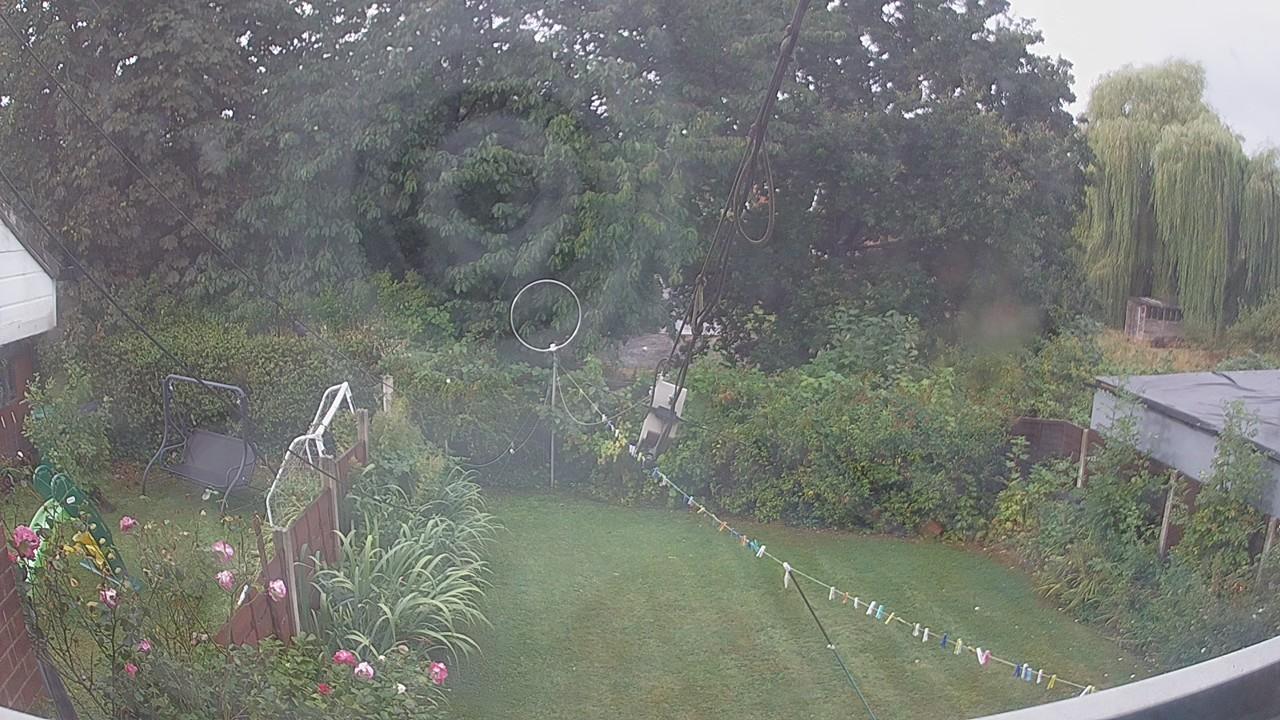 20260818_075501_cam1.jpg