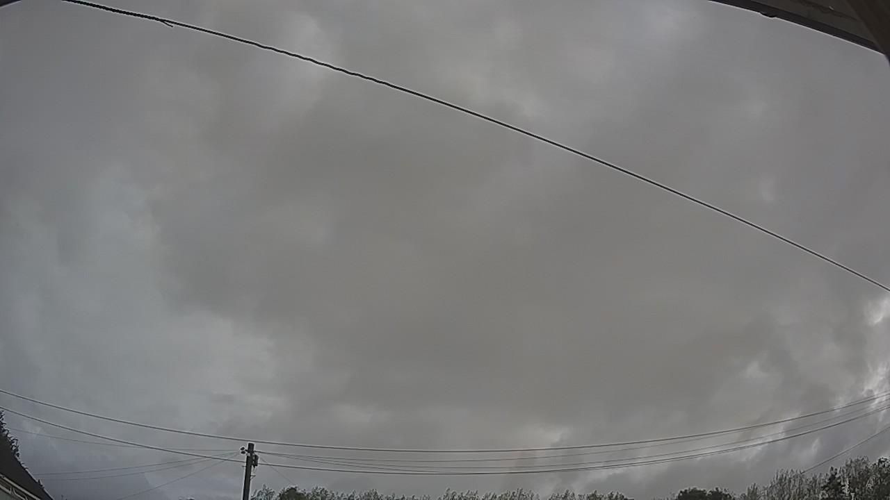 20260818_075502_cam2.jpg