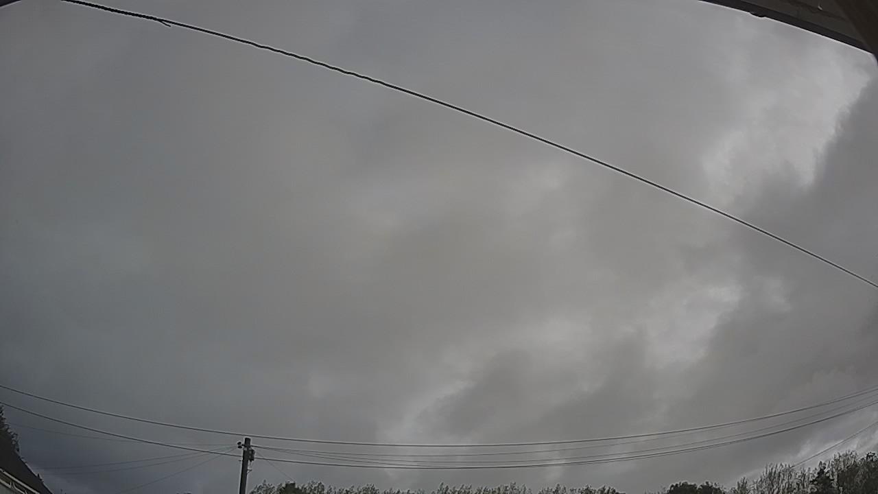 20260818_075835_cam2.jpg