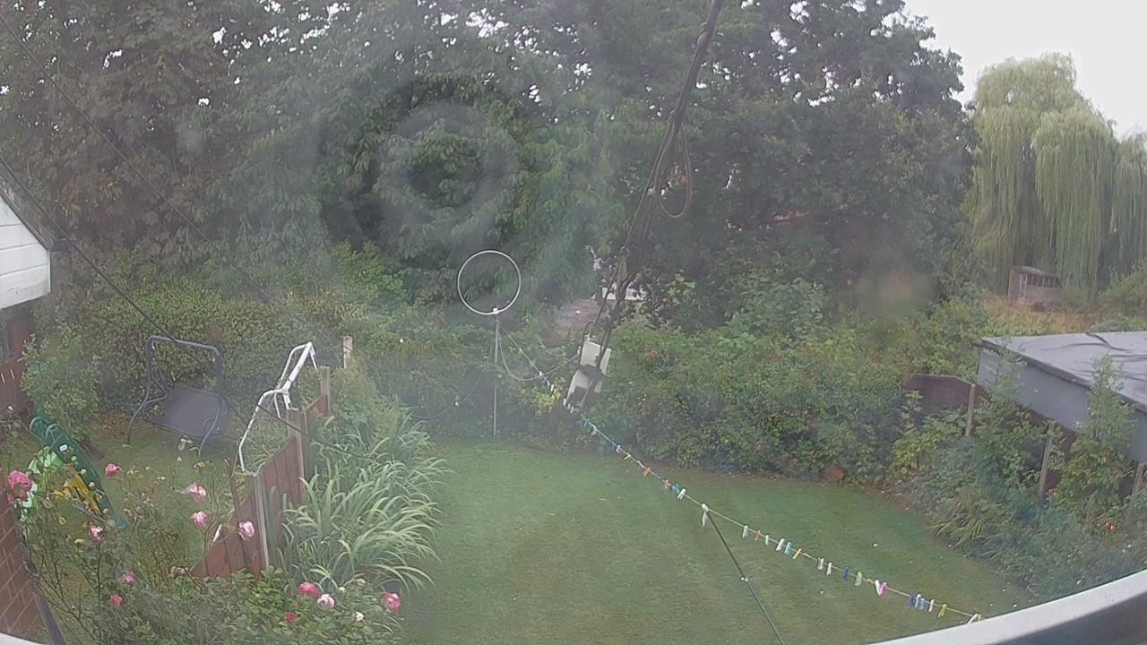 20260818_080208_cam1.jpg