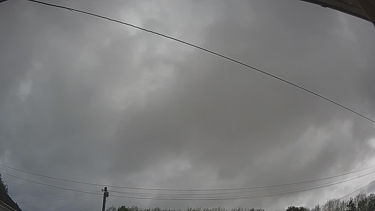 20260818_080209_cam2.jpg