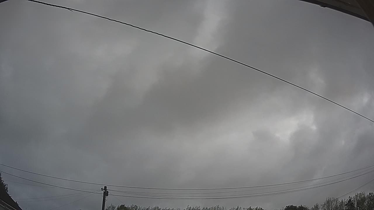 20260818_080542_cam2.jpg