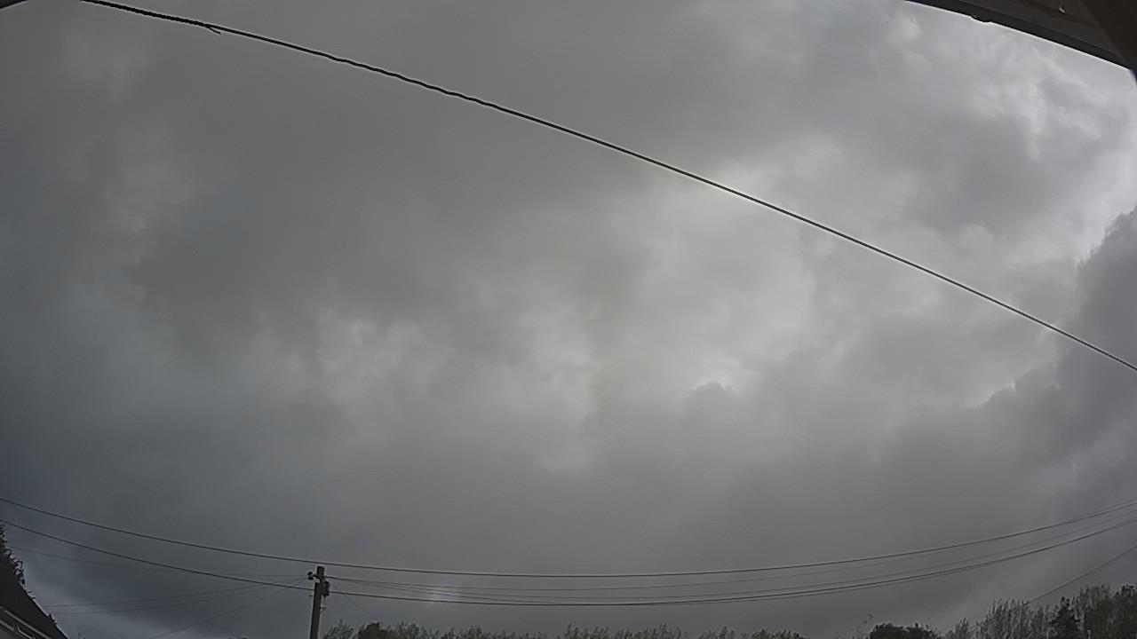 20260818_080916_cam2.jpg