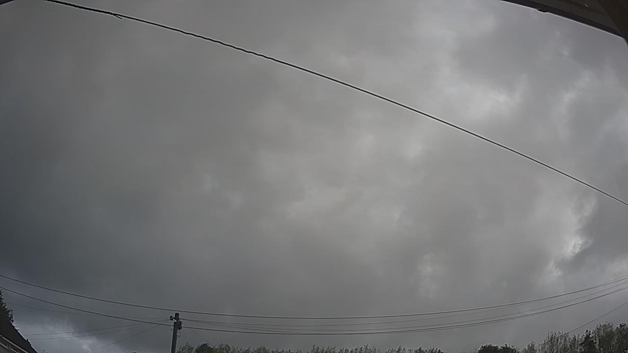 20260818_081249_cam2.jpg