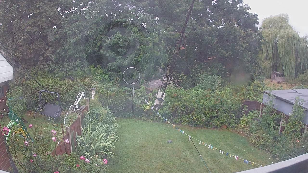 20260818_081622_cam1.jpg