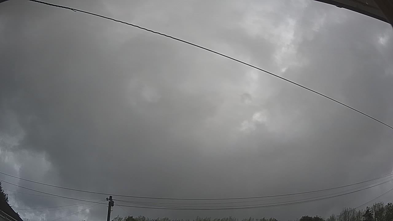 20260818_081623_cam2.jpg