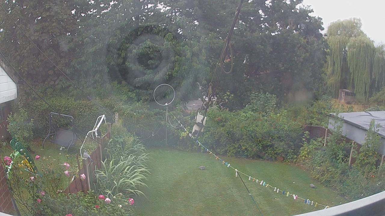20260818_082328_cam1.jpg