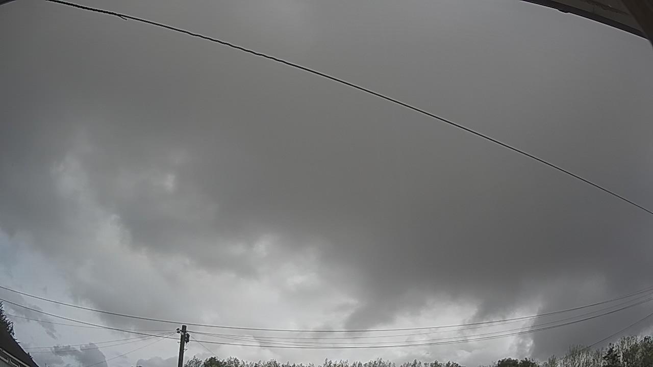 20260818_082329_cam2.jpg