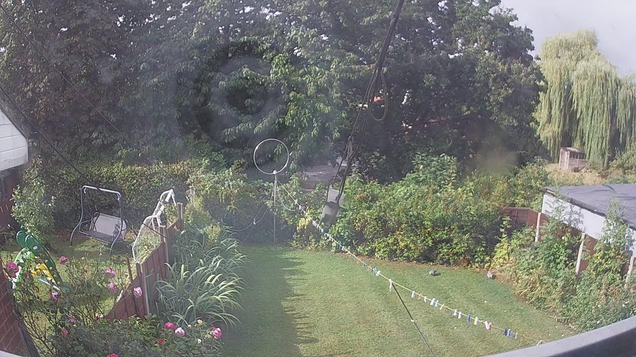 20260818_082701_cam1.jpg