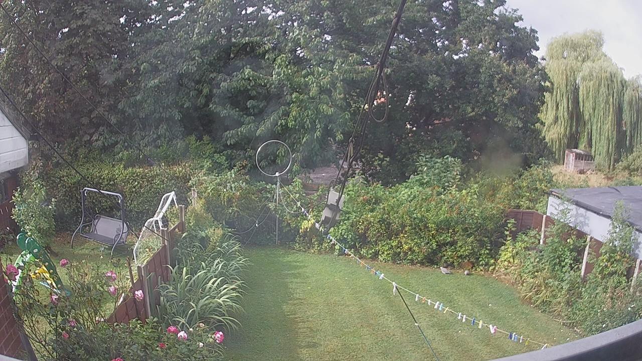 20260818_083025_cam1.jpg