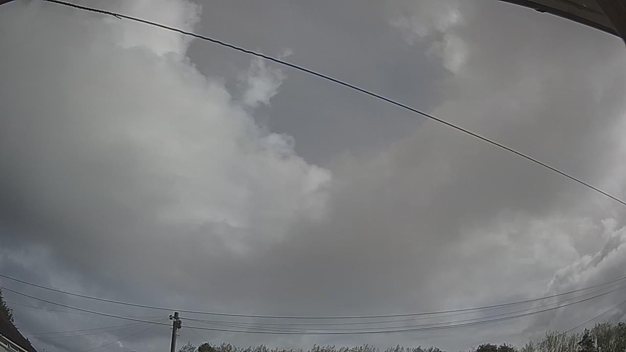 20260818_084402_cam2.jpg
