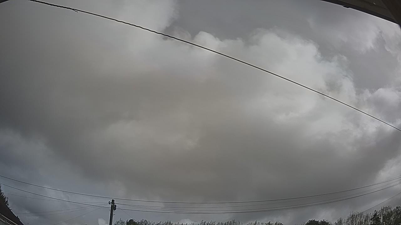 20260818_084726_cam2.jpg
