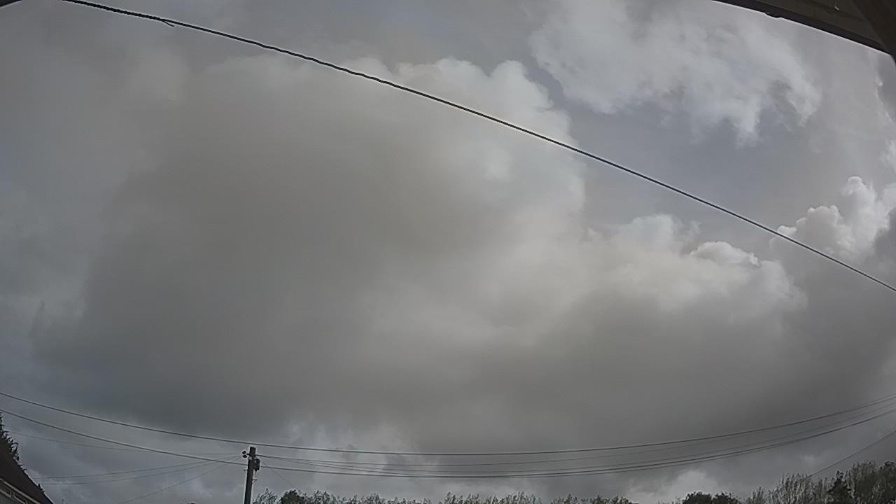 20260818_085050_cam2.jpg