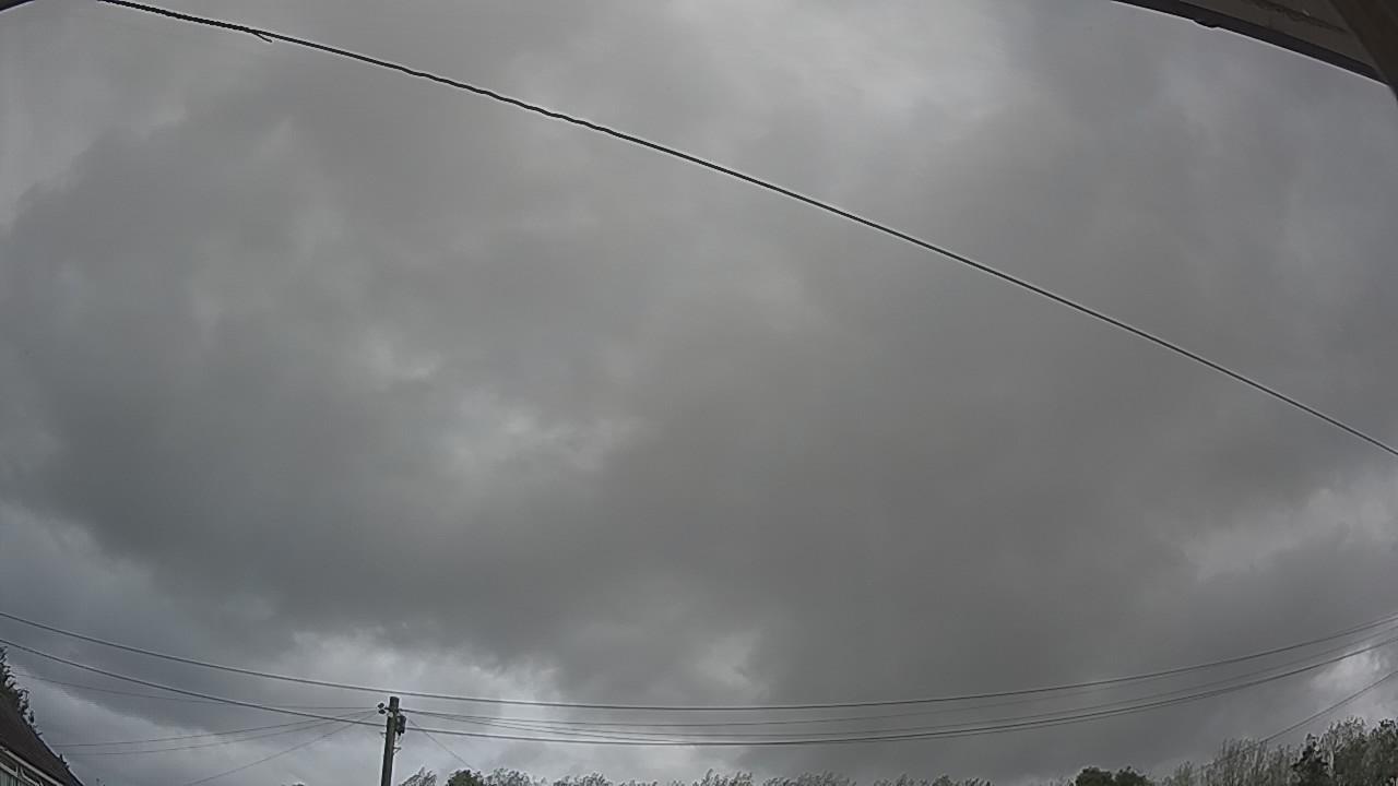 20260818_090042_cam2.jpg