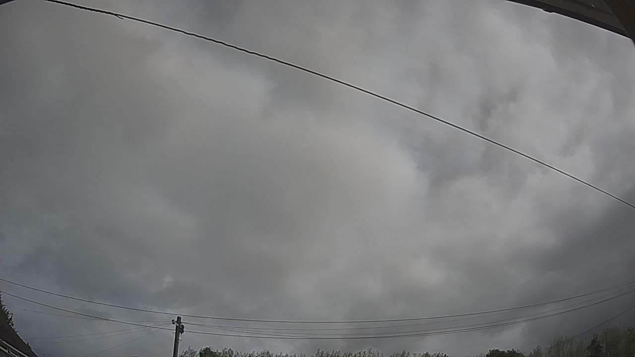 20260818_090959_cam2.jpg