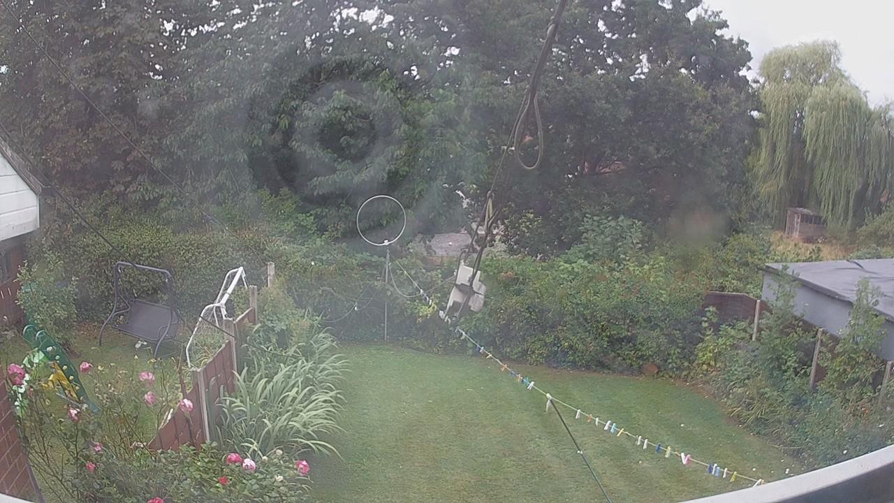 20260818_091915_cam1.jpg