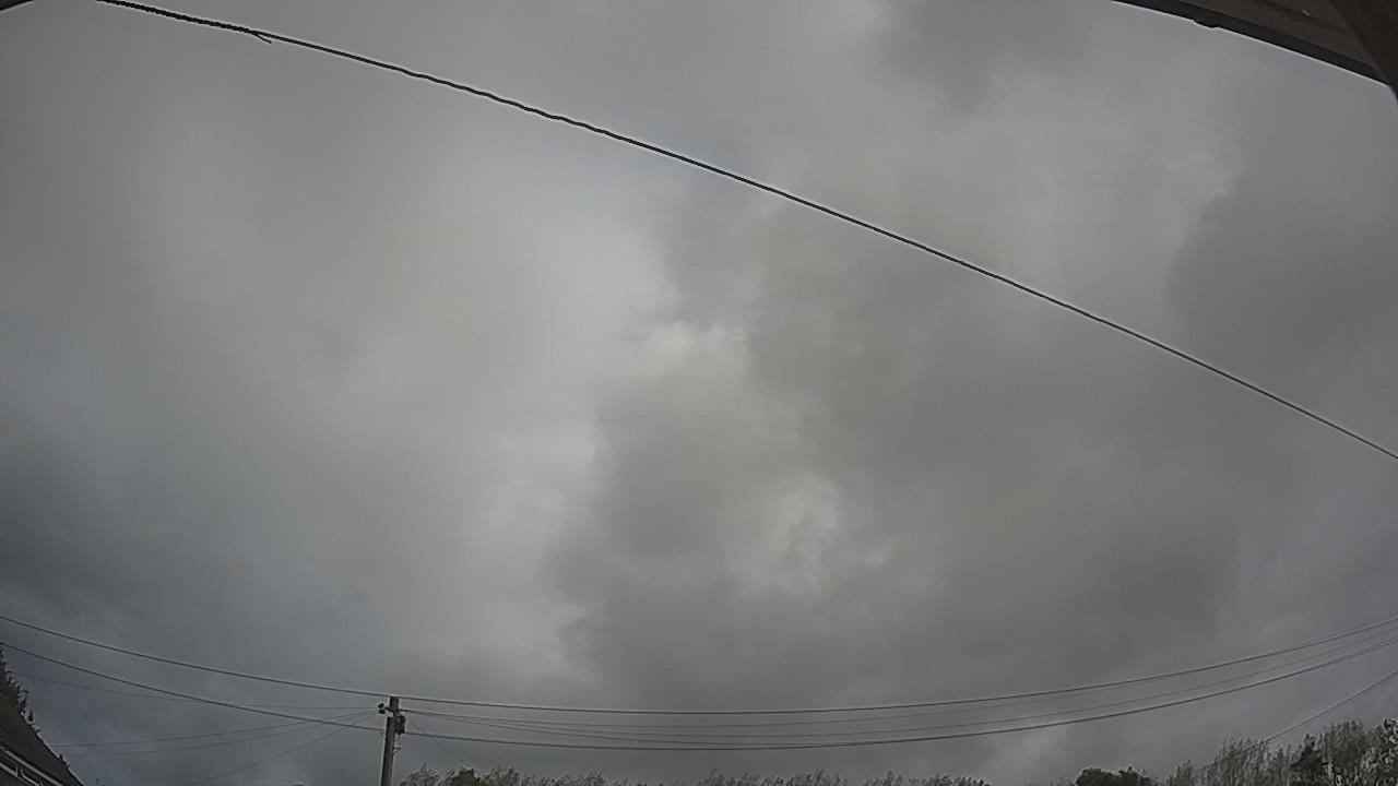 20260818_091916_cam2.jpg