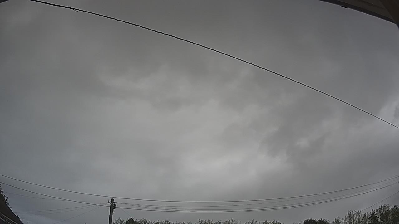 20260818_094221_cam2.jpg