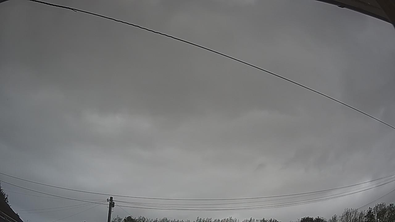 20260818_094544_cam2.jpg
