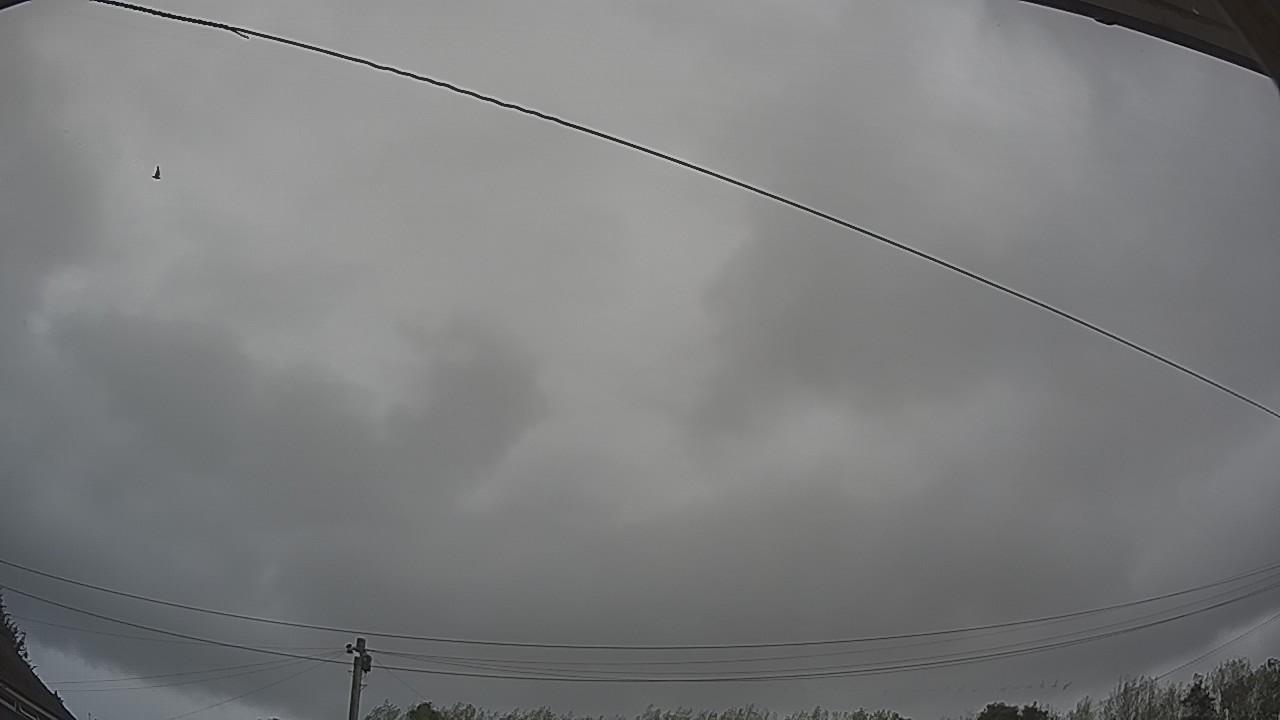 20260818_095554_cam2.jpg