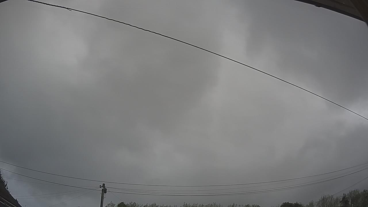 20260818_095927_cam2.jpg