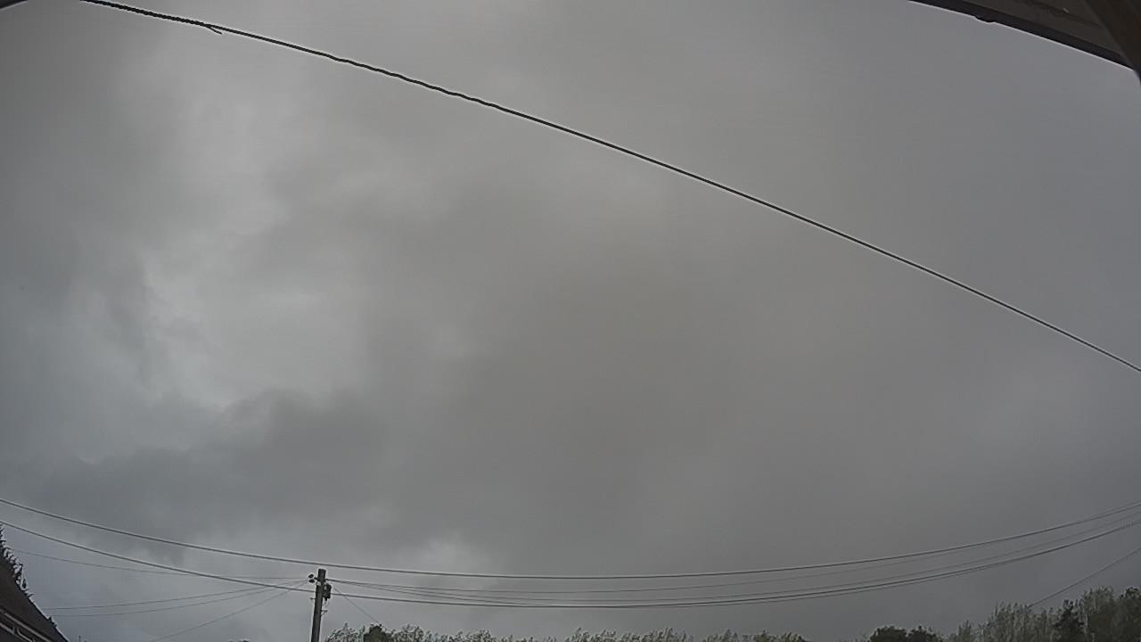 20260818_100300_cam2.jpg