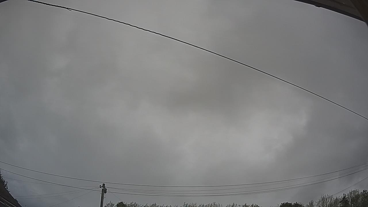 20260818_101006_cam2.jpg