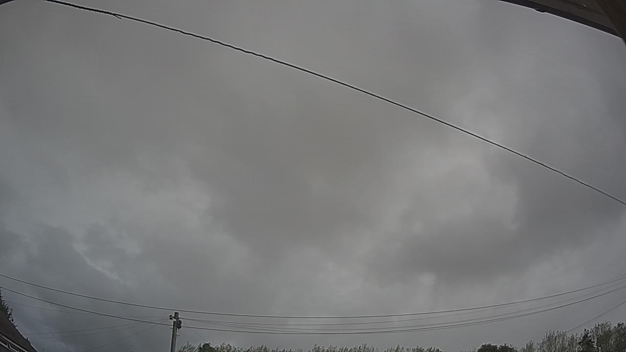 20260818_101712_cam2.jpg