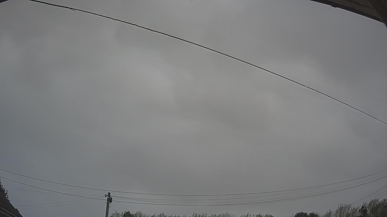 20260818_110104_cam2.jpg