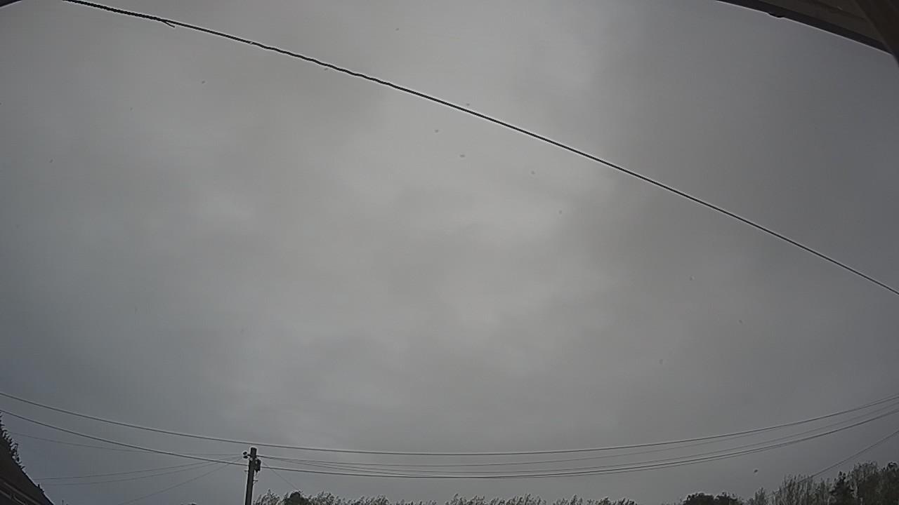 20260818_110752_cam2.jpg
