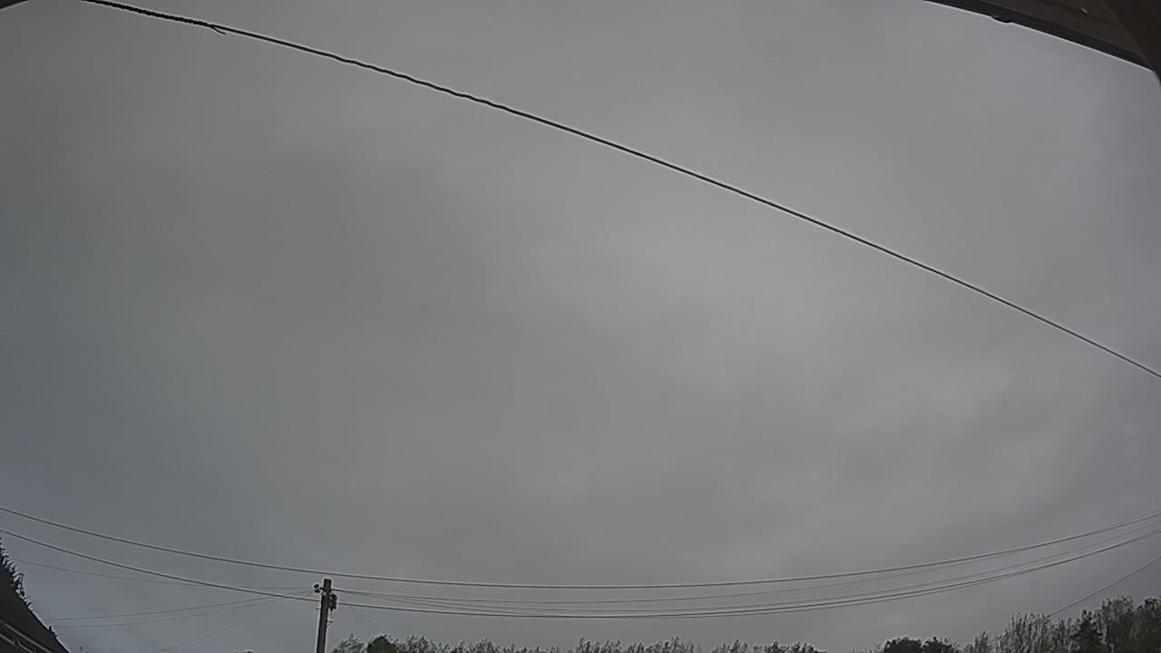 20260818_111116_cam2.jpg