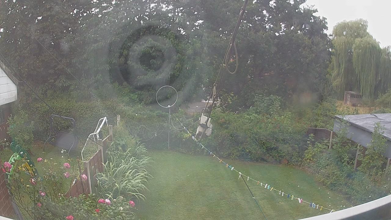 20260818_113156_cam1.jpg