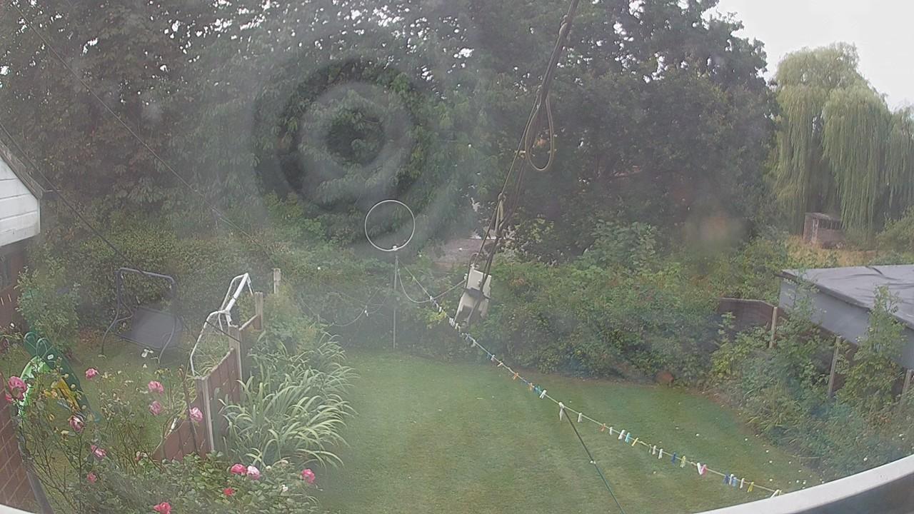 20260818_113901_cam1.jpg