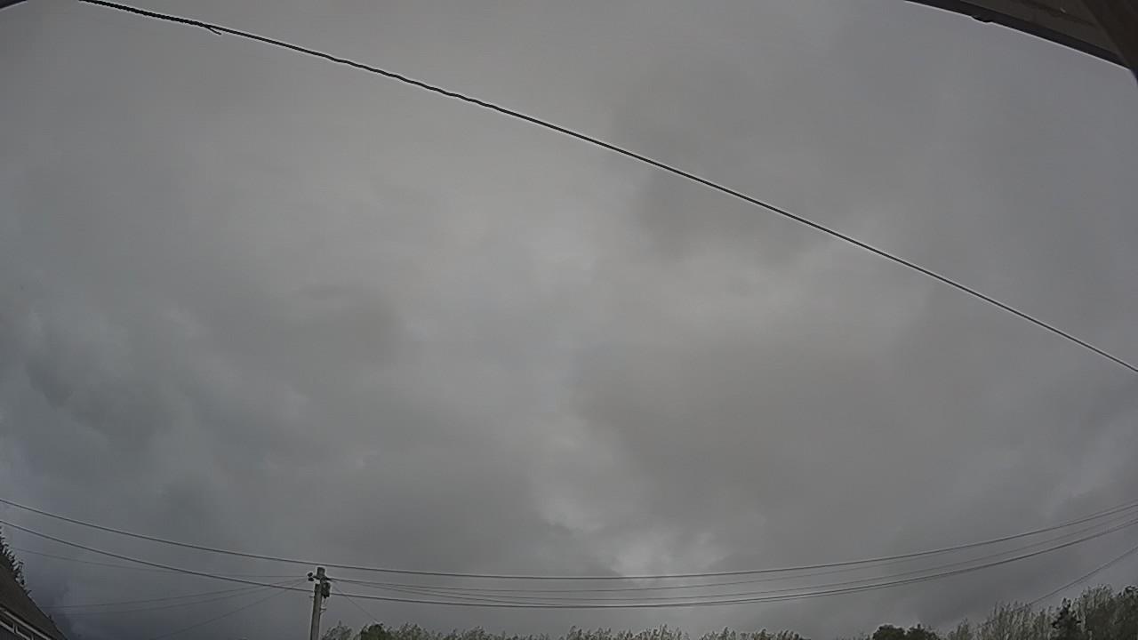 20260818_114234_cam2.jpg