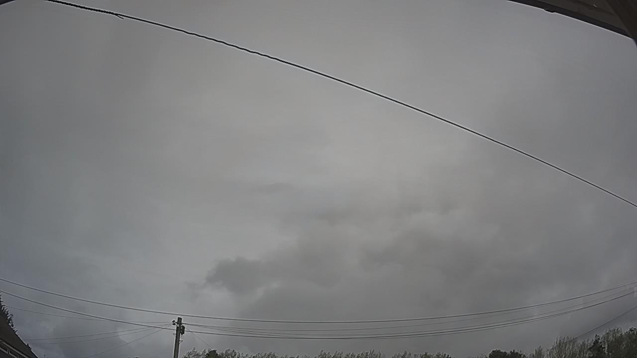 20260818_114608_cam2.jpg