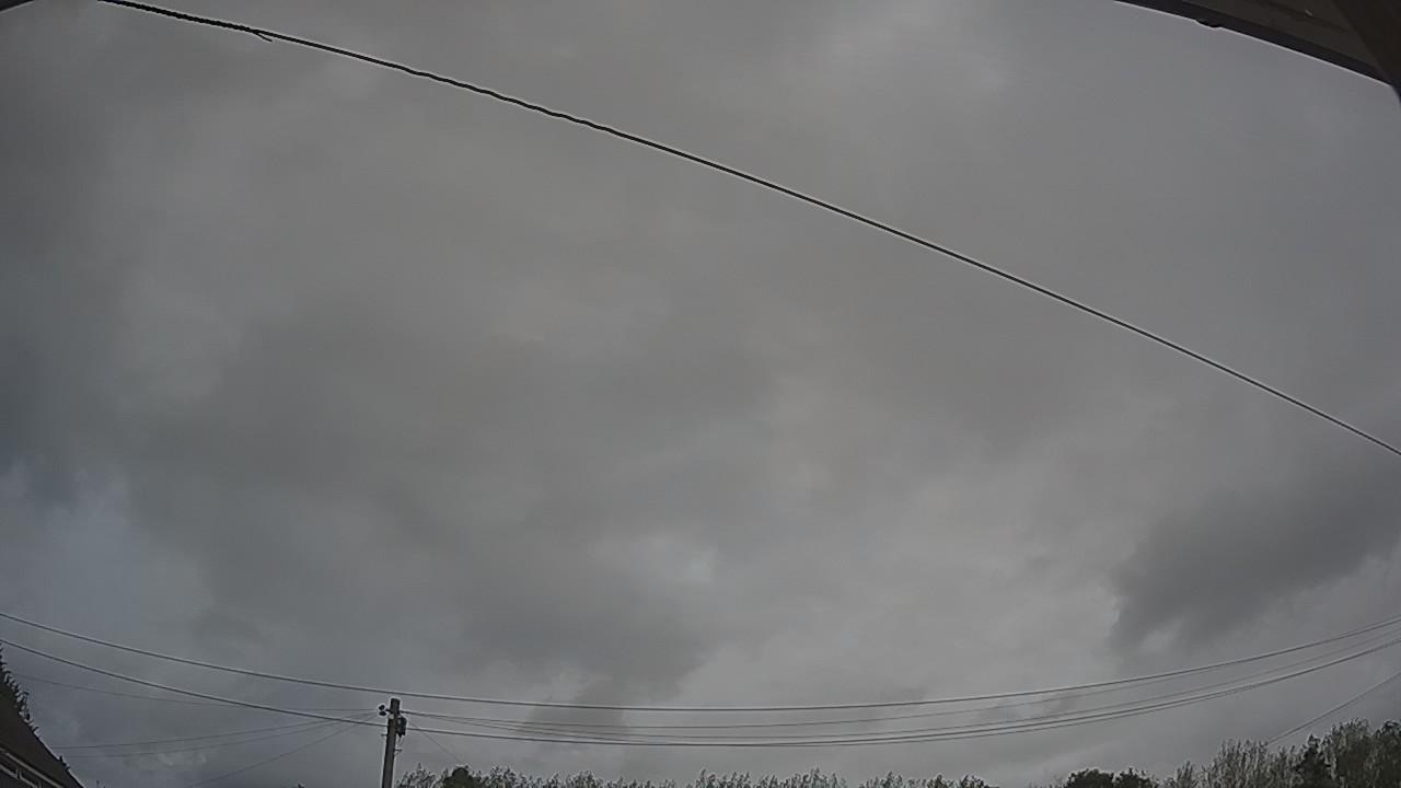 20260818_115313_cam2.jpg