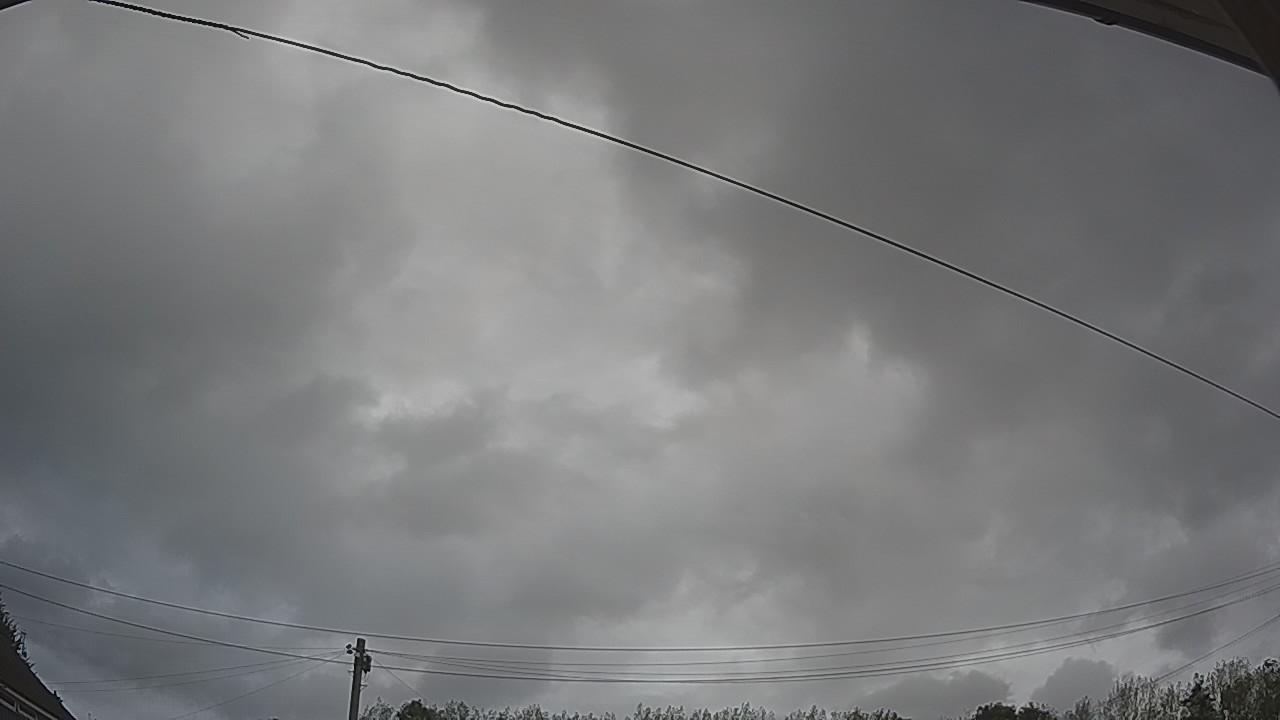 20260818_115645_cam2.jpg
