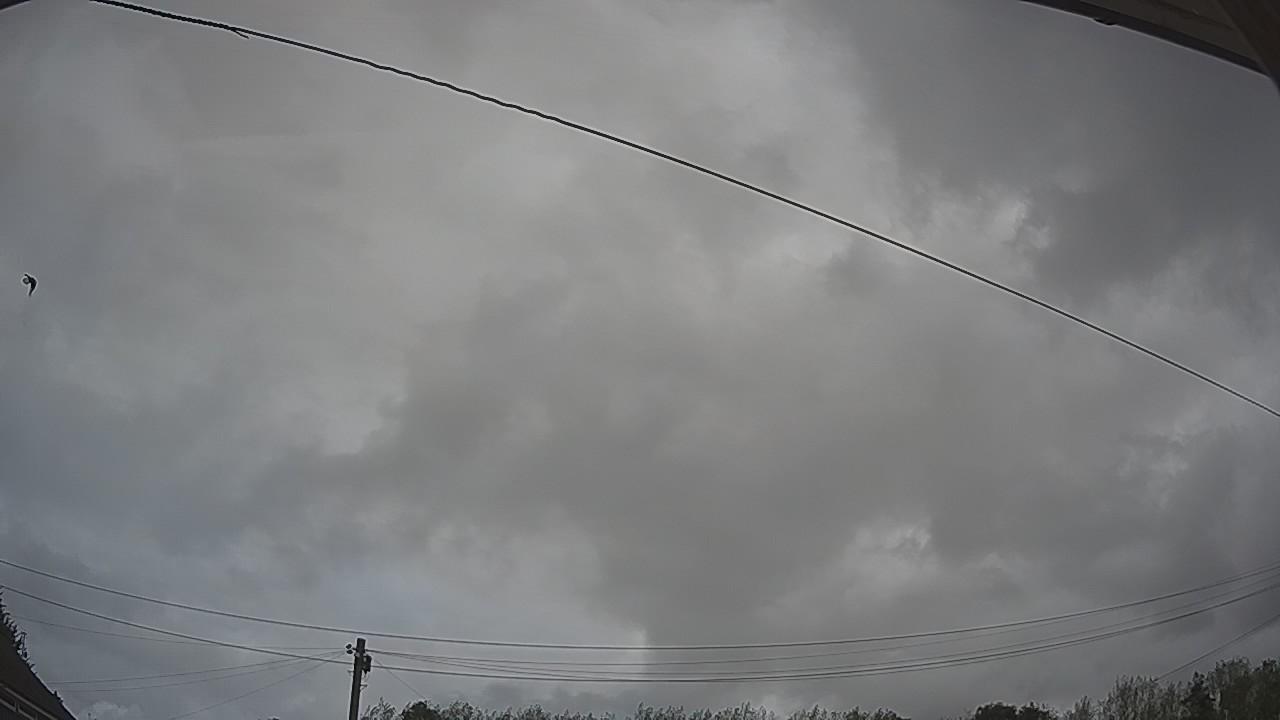 20260818_120408_cam2.jpg