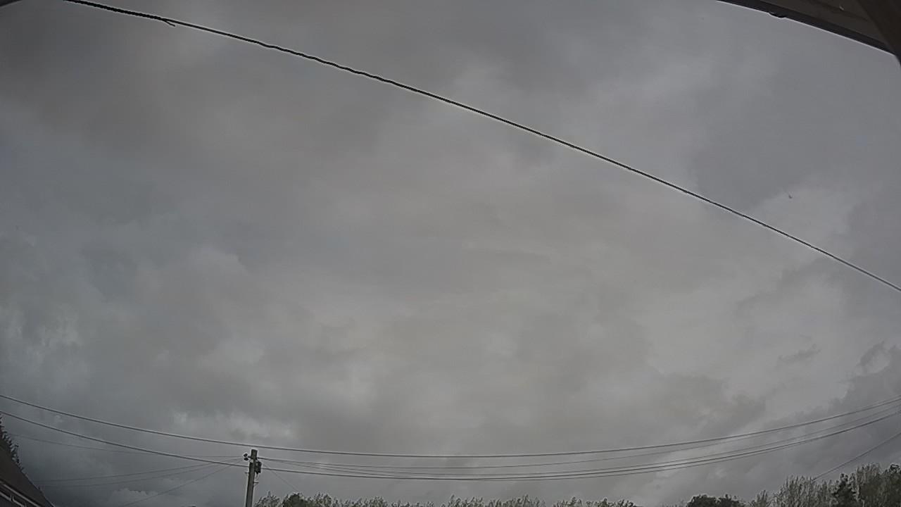 20260818_123207_cam2.jpg